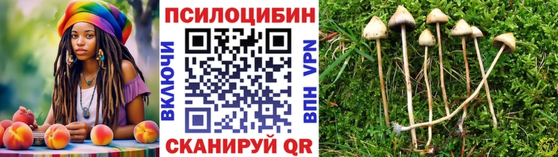 даркнет сайт  Жиздра  Галлюциногенные грибы GOLDEN TEACHER 