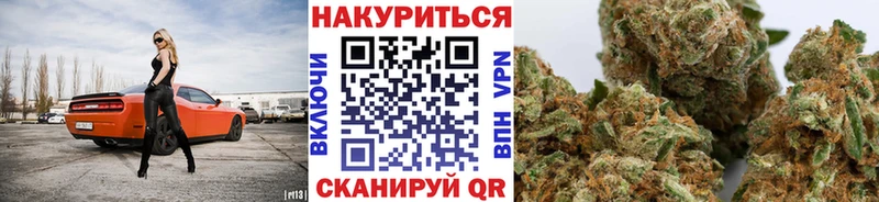 Канабис планчик  наркота  МЕГА ССЫЛКА  Жиздра 